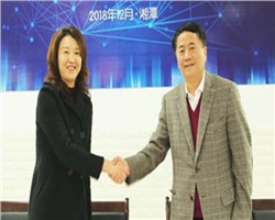 銳意進取，創(chuàng)新發(fā)展—威勝電氣2019年經營管理目標宣貫會勝利召開