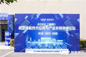 “2022（湖南）新型儲能技術應用與產業(yè)發(fā)展高峰論壇”圓滿召開